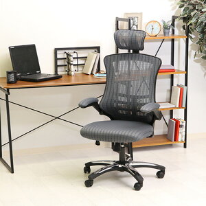 ItBX`FA fXN`FA 66cm O[ nCobN I| LX^[t @\A[Abv`FA }X^[III ( CXE`FA CeAEƋ ItBXƋ p`FA `FA