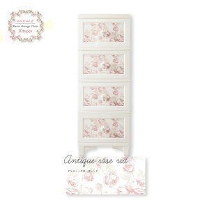 Liloudecoco hX`FW`FXg [ [^X `FXg 4i AeB[N[Ybh DPC-04-ARRD ߗގ[ Lr fRR Pn { PƋ  [