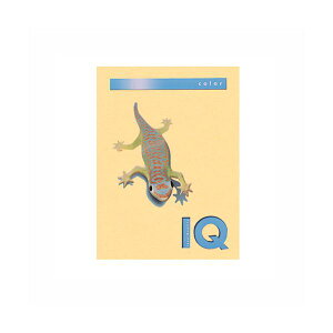 ɓ oCIgbvJ[ A4 250 160g / m2 BT815 T[ y×2Zbgz y Zbg̔ ܂Ƃߔ  z v^[ OA v^p