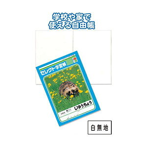 wKK-55䂤傤n y10Zbg ܂Ƃߔz 31-383 piG݁E[E| [Epi  ItBXpi [ pi m[gEi m[gE|[g
