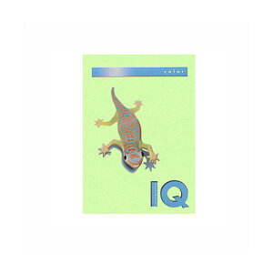 ɓ oCIgbvJ[ A4 250 120g / m2 BT706 ~fBAO[ y×2Zbgz yp ܂Ƃߔ  Ɩp  Zbg̔z v^ PCTvCEՕi Rs[pE