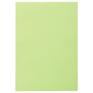 TANOSEE ypZbgz TANOSEE Fp  킩 1pbN i10j y×30Zbgz yp ܂Ƃߔ  Ɩp  Zbg̔z piG݁E[E| [Ep