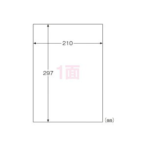 qTS Opx A4 m[Jbg 100 KLP862 v^ PCTvCEՕi Rs[pEp Rs[p hp x 