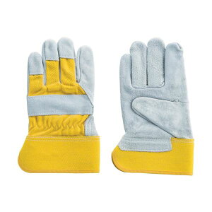 xmO[u Hp  O[u tWO[u Ɩp #181 CG[ L 1821 1o y×5Zbgz yp ܂Ƃߔ  Ɩp  Zbg̔z i |pi [Epi 