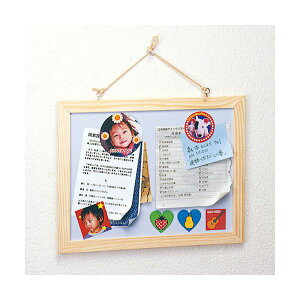 TTvC CNWFbgp}Olbgy[p[ iEtHgj JP-MAGP4N v^ PCTvCEՕi Rs[pEp Rs[p hp 