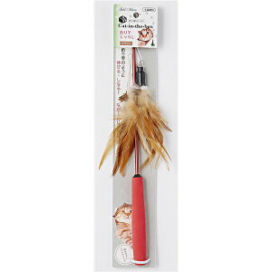 cat in the box ފƂ炵 uE iybgpij y×5Zbgz yp ܂Ƃߔ  Zbg̔z y ybgEybgObY Lpi LbgEFA Lbg^[  L Lb