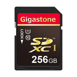 Gigastone SDXCJ[h256GB UHS-1 GJSX / 256U 1 ωxEϏՌΉClass10 UHS-1SDXCJ[hfW^Ɠd Ɠd p\REӋ@ USBESDJ[hEJ[hEtbV SDJ[h