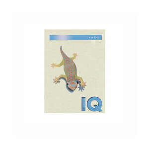 oCIgbvJ[PPC A4 O[ BT809 v^ PCTvCEՕi Rs[pEp Rs[p Rs[  v^p