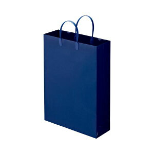 TANOSEE 【お徳用セット】 TANOSEE ラミネートバッグ 大 ヨコ320×タテ440×マチ幅110mm 紺 1パック (10枚) 【×10セット】 【お徳用 まとめ買い お買い得 業務用 割引 セット販売】 文房具・事務用品