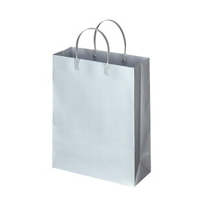 TANOSEE 【お徳用セット】 TANOSEE ラミネートバッグ 中縦タイプ シルバー 1パック (10枚) 【×5セット】 【お徳用 まとめ買い お買い得 業務用 割引 セット販売】 日用品雑貨・文房具・手芸 文