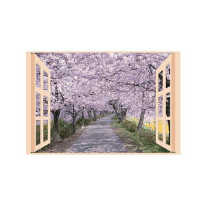 v C̃|X^[ lG  8095651 y×2Zbgz yp ܂Ƃߔ  Ɩp  Zbg̔z