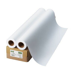 TANOSEE インクジェット用普通紙A0ロール 841mm×50m 1箱 (2本) プリンタ PCサプライ・消耗品 コピー用紙・印刷用紙 コピー用紙 コピー 紙 プリンタ用紙