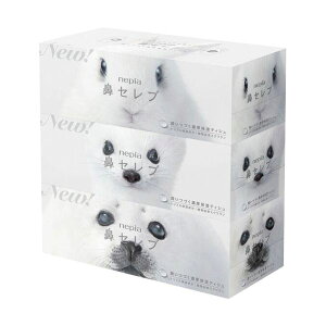 qlsA lsA@ZueBV{bNX 200g /  1pbNi3jy×10Zbgz y Zbg̔ ܂Ƃߔ  z eBbVy[p[