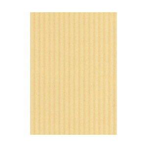 qTS bv{[h  A4N[ RBU04A4 1pbNi3j y×50Zbgz y Zbg̔ ܂Ƃߔ   pi z  ItBXpi Ɩp  i [  m[g 