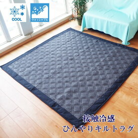 ラグマット 絨毯 約2畳 約180cm×180cm ネイビー 洗える お手入れ簡単 COOL 接触冷感 ひんやりラグ リビング ダイニング