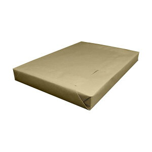 ダイニック シータス CP5102 A31ケース (250枚) プリンタ PCサプライ・消耗品 コピー用紙・印刷用紙 コピー用紙 コピー 紙 プリンタ用紙