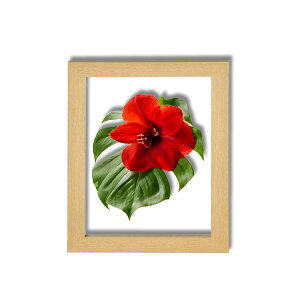 Xe t[ S i` z z t[ CeA ǖʂɃO[AASCeAfBXvC W CeA pG G hV̓ ̓ ̓