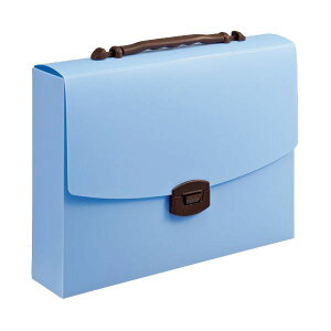 yCI lion  pz LOobOCL \[_LfB[ CA-173SC 1 y×10Zbgz y ܂Ƃߔ  Ɩp  ItBXpi [ piz 