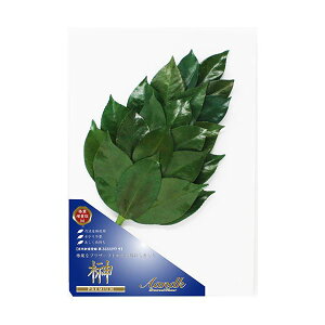 A��K �v���~�A���� �O�g�Y�����֗t�g�p M�T�C�Y(�{�����[���^�C�v) SKK-006PV �C���e���A �Ƌ� ����