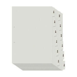 yvX pi PLUS  ItBXpi z Zvgp4`3CfbNX A4^e 6R2g O[ FL-809IS 1pbN y×20Zbgz y ܂Ƃߔ  Ɩp  ItBXp