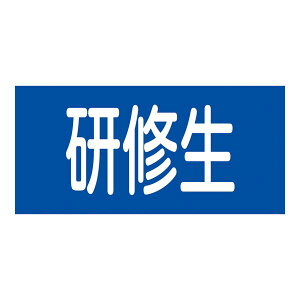 Sr C GW-13M  ItBXpi Ɩp  ItBX pi  r