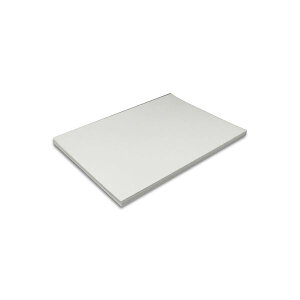 王子製紙 ミラーコートプラチナ A3Y目256g 60036-26 1セット (500枚) プリンタ PCサプライ・消耗品 コピー用紙・印刷用紙 コピー用紙 コピー 紙 プリンタ用紙