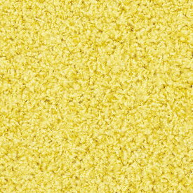 ラグマット/絨毯 【約200×300cm レモン】 ホットカーペット対応 手洗い可 日本製 『ジャスパーPlus』 プレーベル