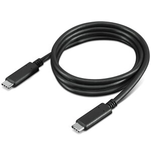 m{EWp USB Type-C P[u i1[gj 4X90U90619 AV fW^ fW^Ɠd PC PCӋ@ PCANZT[ PCTvCEՕi Ɠd p\REӋ@ P[uEP[uJo[ P