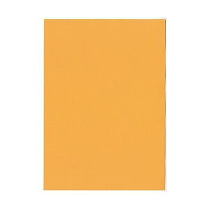 kzR[|[V IB̐F㎿ A4 Y  IW 1 i100j v^ PCTvCEՕi Rs[pEp Rs[p Rs[  v^p