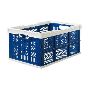 TANOSEE nhtoXPbgIR 36L zCg / u[ 1Zbg i10j piG݁E[E| [Epi  ItBXpi [ pi Rei