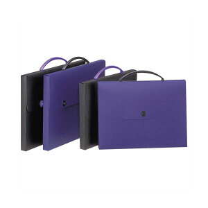 yCI lion  pz fUCP[X B4_[Nu[ DS-263 1 y×3Zbgz yp ܂Ƃߔ  Ɩp  Zbg̔z [Epi  ItBXp