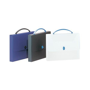 yCI lion  pz fUCP[X A4ubN DS-253 1 y×3Zbgz yp ܂Ƃߔ  Ɩp  Zbg̔z [Epi  ItBXpi 