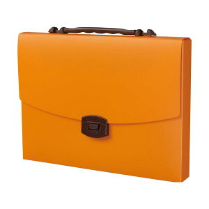 yCI lion  pz LOobOCL pvL CA-143PU 1 y×5Zbgz yp ܂Ƃߔ  Ɩp  Zbg̔z [Epi  