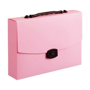 yCI lion  pz LOobOCL Xgx[~N CA-173SM 1 y×5Zbgz yp ܂Ƃߔ  Ɩp  Zbg̔z [Ep