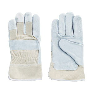 xmO[u Hp  O[u tWO[u Ɩp #180 1804 1o y×20Zbgz yp ܂Ƃߔ  Ɩp  Zbg̔z i |pi [Epi G I