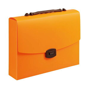 yCI lion  pz LOobOCL pvL CA-173PU 1 y×5Zbgz yp ܂Ƃߔ  Ɩp  Zbg̔z [Epi  