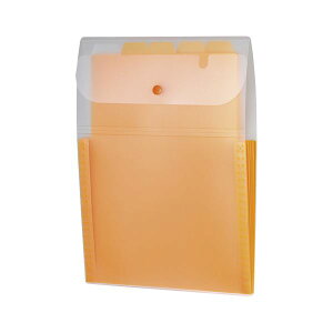 ZLZC Actif hLgz_[ A45|Pbg ^e^ IW y×10Zbgz yp ܂Ƃߔ  Ɩp  Zbg̔z piG݁E[E| [Epi 