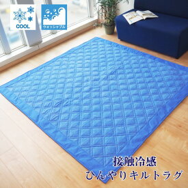 ラグマット 絨毯 約3畳 約180cm×230cm ブルー 洗える お手入れ簡単 COOL 接触冷感 ひんやりラグ リビング ダイニング