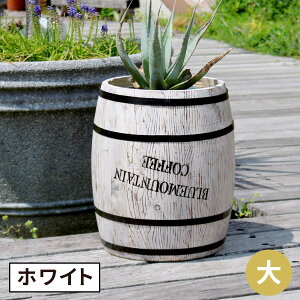 R[q[o iPi̔j CB-3040N-WHT ؐ R[q[ coffee M o v^[ Aؔ  P S~ fBXvC BOX a35cm