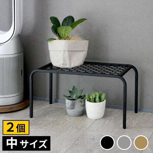 �A�C�A���v�����^�[�X�^���h�uTWILL�v(�c�C��) ���T�C�Y�@2�g TW005-2P��50 ����25 �t�����[�X�^���h �� �r�t�� �K�[�f�����b�N ���u�� ���|���b�N �ԑ� �Ԓu���I �K�[�f�j���O ���O ���� ���� 