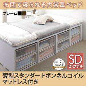 yotze [xbh Semper Zy[ ^X^_[h{lRCt {lRC oȂ nC^Cv Z~_u ߑP[X/oʔ^Cv Z~