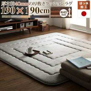 【 ラグ ・ カーペット 】 厚み40mmのふっくら厚敷きクッションラグ Vermeer フェルメル 190×190cm 絨毯 じゅうたん ラグ カーペット 保温性 冬物アイテム 軽量 かわいい マイクロファイバー 冬