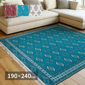 AeB[NO~vgO gN 190×240cm J[ybgE}bgE J[ybgEO ^CJ[ybgEWCg}bg tA}bg O~