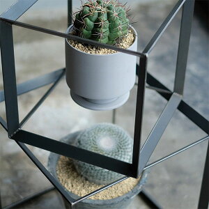 ODD CUBIC BOX(L)@A v^[X^h v^z_[ u O[ CeAO[  Mtg k