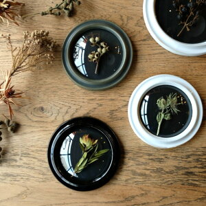 Ceramic Glass Case (L)EZ~bNKXP[Xyt[@KXt[@z@re[W@@Z~bN@hCt[z