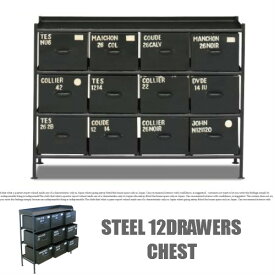 【送料無料】STEEL 12DRAWERS CHEST/スチール12ドロアーズチェスト【スチールチェスト/インダストリアル/ドロアー/ビンテージ/TVボード/ローボード】