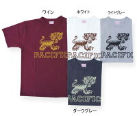 全国どこでも送料無料!2019年春夏新作!【CUSHMAN】プリントTee(PACIFIC)【クッシュマン】メンズ&レディース半袖Tシャツアメカジ