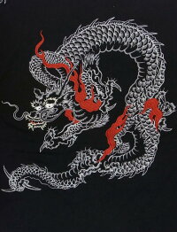 全国どこでも送料無料!春夏新作!【花旅楽団】炎龍柄刺繍半袖Tシャツ【SCRIPT】メンズ&レディース和柄