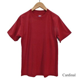 US規格 HANES BEEFY 100% Cotton T-Shirt ヘインズ ビーフィー 100% コットン tシャツ メンズ 無地 ビッグtシャツ 1164