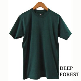 US規格 HANES BEEFY 100% Cotton T-Shirt ヘインズ ビーフィー 100% コットン tシャツ メンズ 無地 ビッグtシャツ 1164